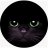 Katze_Stiefe
